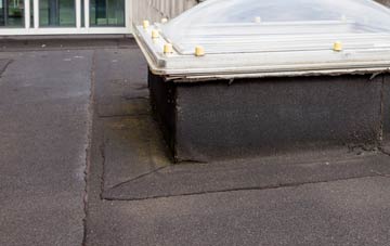 disadvantages of Hendrerwydd flat roofs