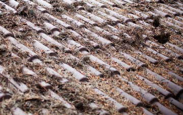 Hendrerwydd roof cleaning companies